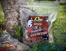 PELLETS ANIS PERALBAITS 1KG