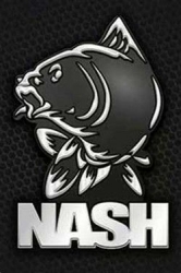 NASH